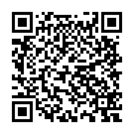 QR code for plate O3M 519