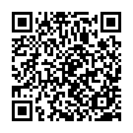 QR code for O3N 387