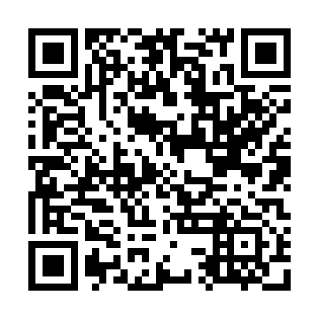 QR code for O3N313