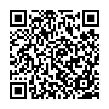 QR code for O3O 667