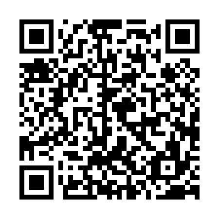 QR code for O3P036