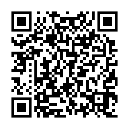 QR code for O3S 313