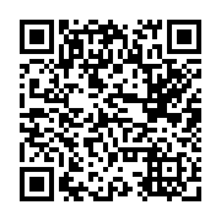 QR code for O3S 318