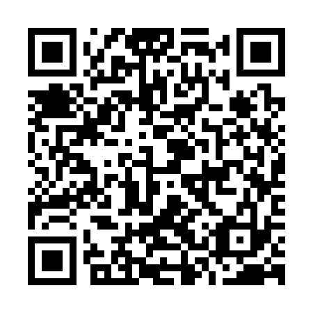 QR code for O3S 333