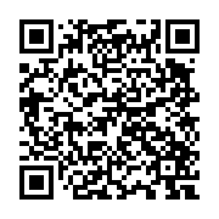 QR code for O3S 447