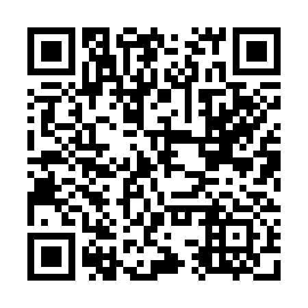 QR code for O3X333