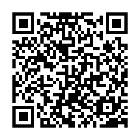 QR code for O4I 335