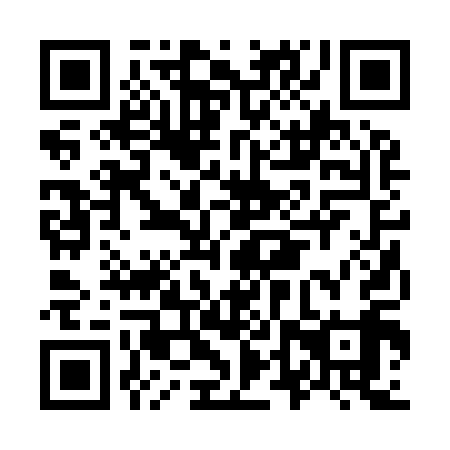 QR code for O4R 919