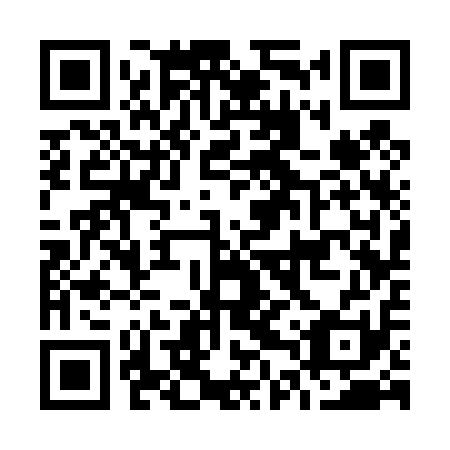 QR code for O4S411