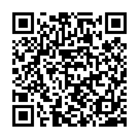 QR code for plate O5G 433