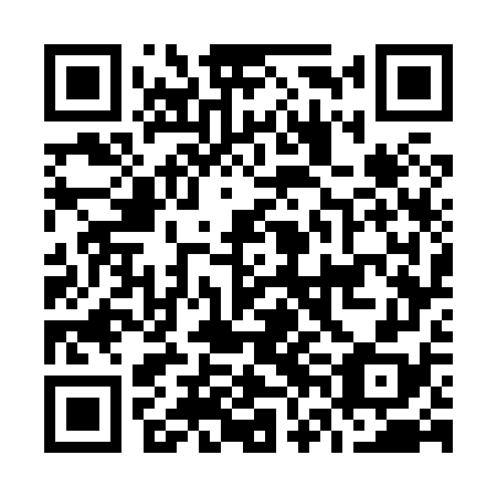 QR code for plate O6G 878