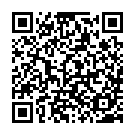 QR code for O6H385