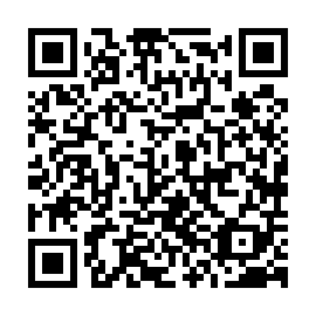QR code for plate O6H 509