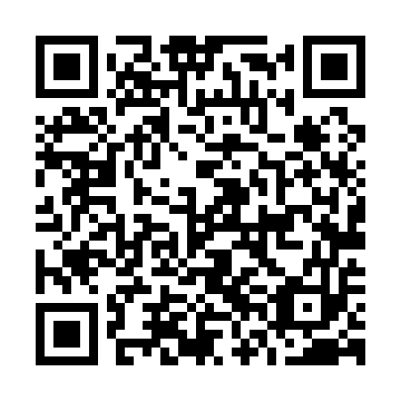 QR code for plate O6L 153
