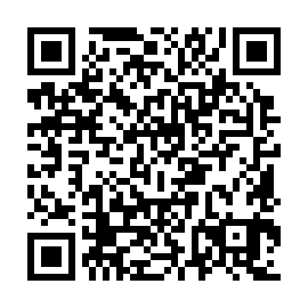 QR code for O6M 381