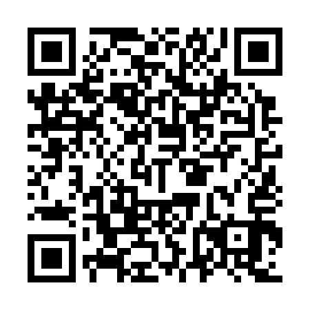 QR code for O6N 313
