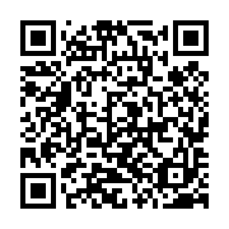 QR code for O6N 493