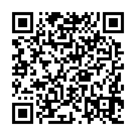 QR code for O6P 393