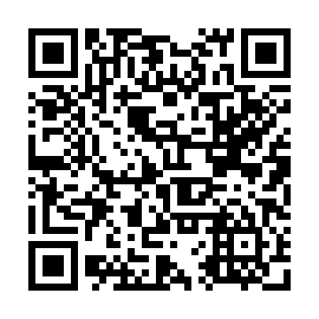 QR code for O6P385