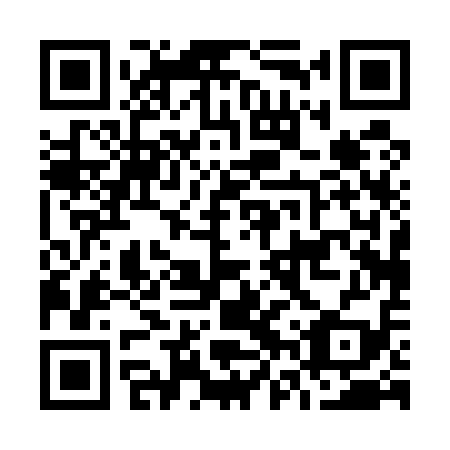 QR code for plate O6P 519