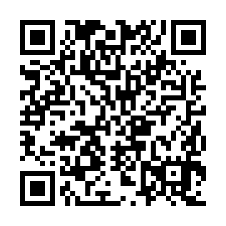 QR code for plate O6R 595