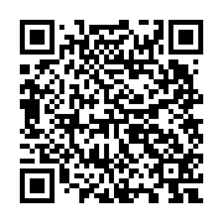 QR code for plate O6R 613