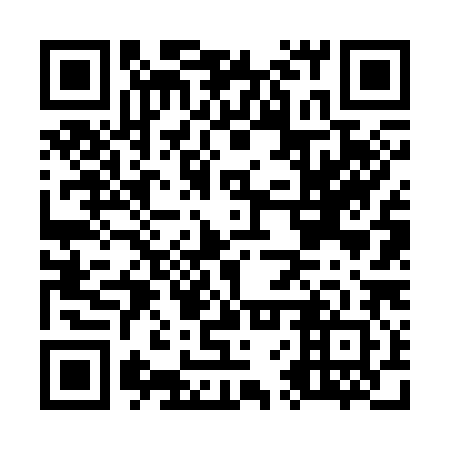 QR code for O6V 382