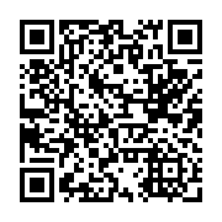 QR code for O6X 419