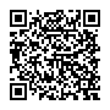 QR code for O6X 541
