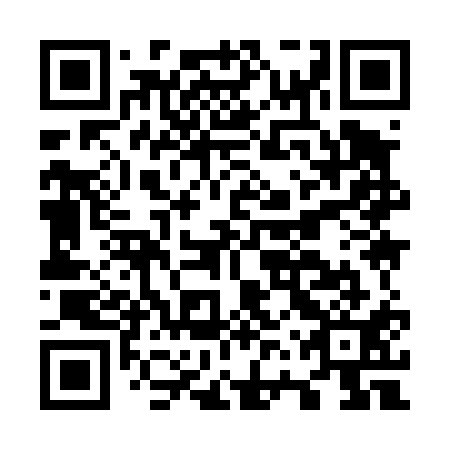 QR code for O6Y 411