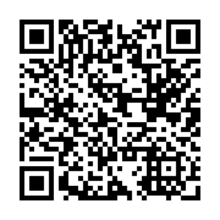 QR code for O6Y 919