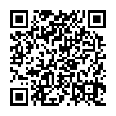 QR code for O6Z 335