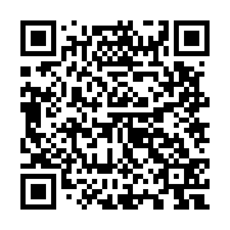 QR code for O6Z 533