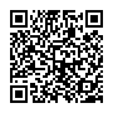 QR code for O9G 419