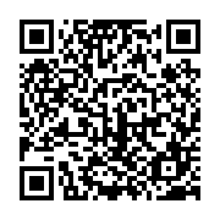 QR code for plate O9G 206
