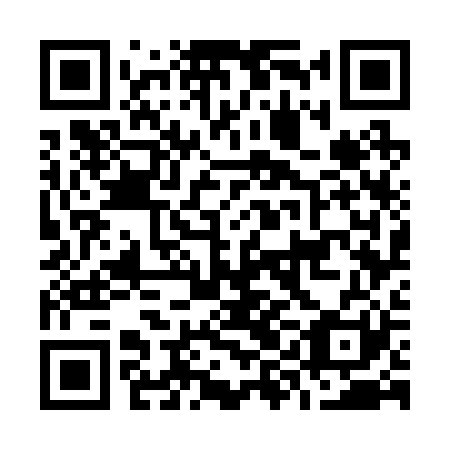 QR code for plate O9G 221