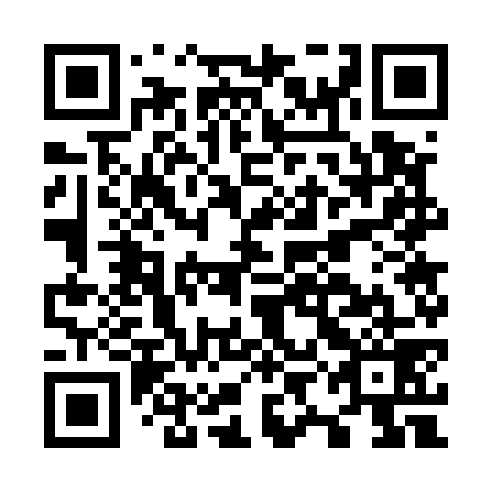 QR code for plate O9G 579