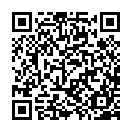 QR code for O9P004