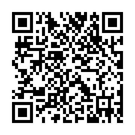 QR code for O9P126