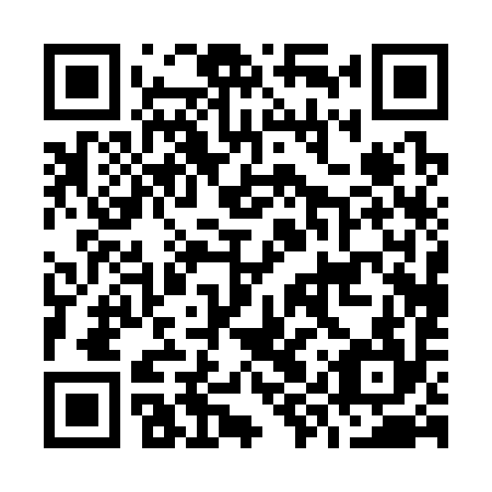 QR code for O9P394