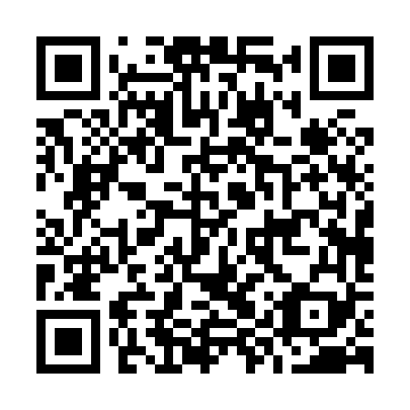 QR code for plate O9P 869