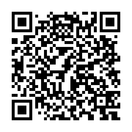 QR code for plate O9R 539