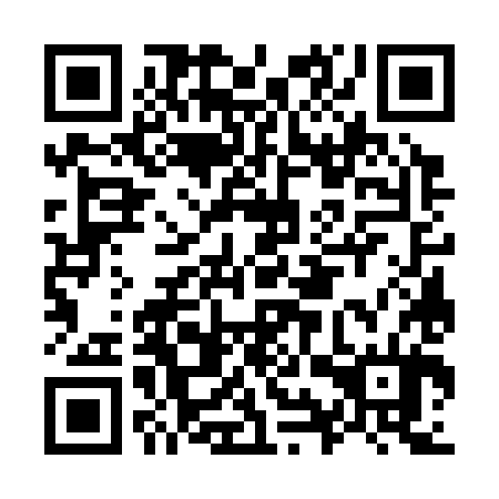QR code for O9W 384