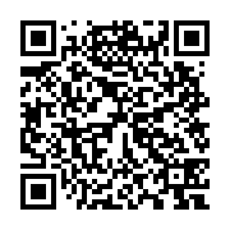 QR code for O9W 738