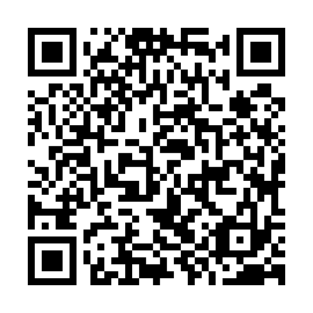 QR code for O9Z533