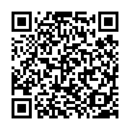 QR code for plate O9Z 619