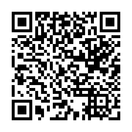 QR code for OAC333