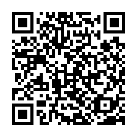 QR code for OAI 739