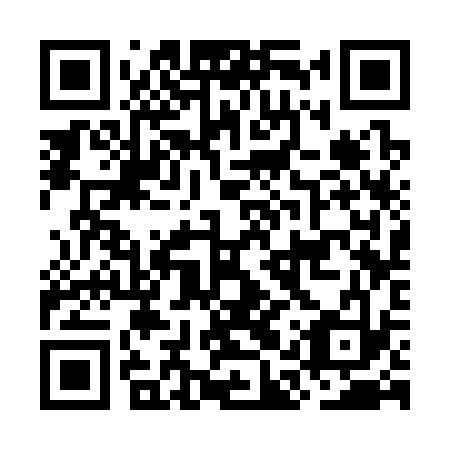 QR code for OAS 333