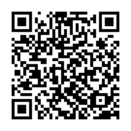 QR code for OBM 919